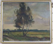 John Da Costa, oil on canvas, Tree in a landscape, labelled verso, 45 x 55cm