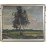 John Da Costa, oil on canvas, Tree in a landscape, labelled verso, 45 x 55cm