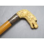 A Victorian ivory 'hound's head' handle walking cane