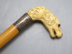 A Victorian ivory 'hound's head' handle walking cane