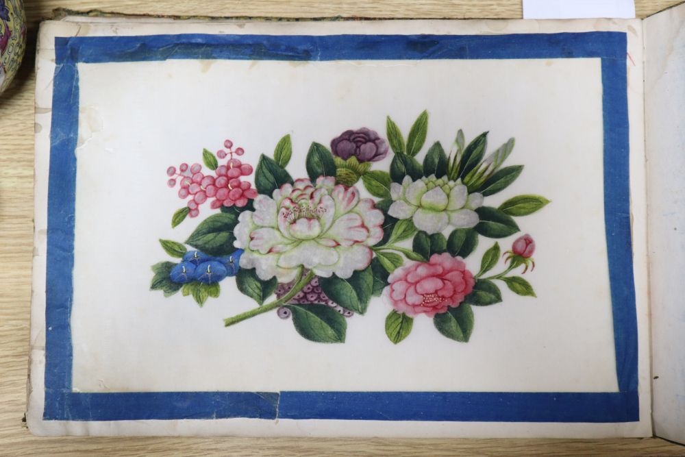 A 19th century Cantonese album of botanical studies on pith paper - Bild 5 aus 5