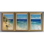 Paul Brown, set of three oils on canvas, Coastal landscape, one signed, each 74 x 49cm