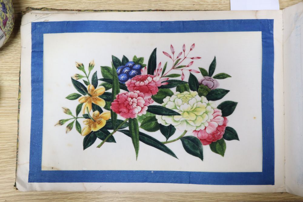 A 19th century Cantonese album of botanical studies on pith paper - Bild 2 aus 5