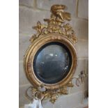 A Regency giltwood and gesso convex girandole, W.58cm, H.98cm (in need of repair but pieces are