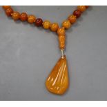 A single strand circular amber bead necklace, with pear shaped amber pendant, gross 74 grams.