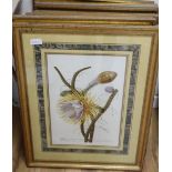 Thirteen assorted gilt framed botanical prints, approximately 52 x 34cm