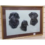 Matilda Bevan, watercolour, Three Labrador heads, signed and dated 1999