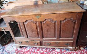 A mule chest with two drawers, width 134cm, depth 53cm, height 87cm