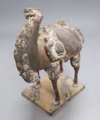 A Chinese Northern Wei style grey pottery laden camel, height 24cm