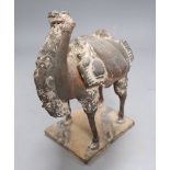 A Chinese Northern Wei style grey pottery laden camel, height 24cm