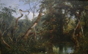 Edmund John Niemann (1813-1876), oil on canvas, Study of a woodland pool, inscribed on stretcher, 36