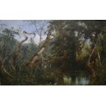 Edmund John Niemann (1813-1876), oil on canvas, Study of a woodland pool, inscribed on stretcher, 36