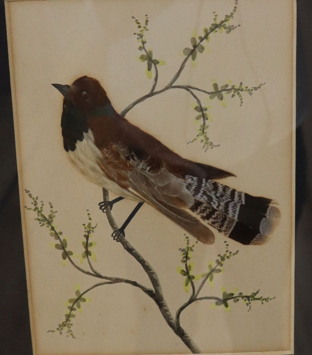 A pair of Victorian watercolour and featherwork pictures of songbirds, maple framed, frames - Image 3 of 3