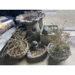 A reconstituted stone shell bird bath, one other, three planters and a hedgehog, tallest 52cm