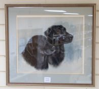 June Wooldridge, watercolour, Head study of two black Labradors, signed and dated 1987, 35 x 40cm