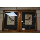 A pair of Victorian watercolour and featherwork pictures of songbirds, maple framed, frames