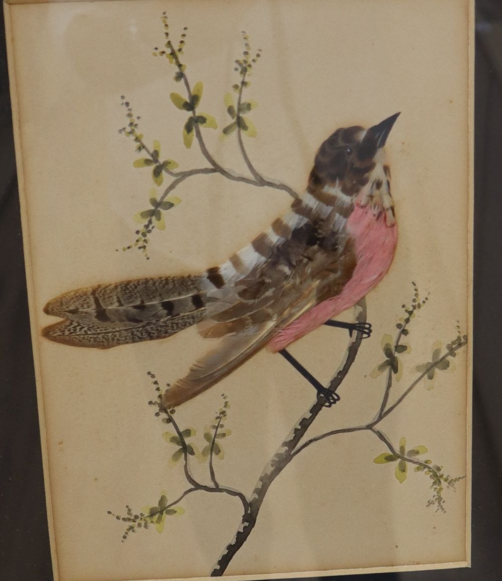 A pair of Victorian watercolour and featherwork pictures of songbirds, maple framed, frames - Image 2 of 3