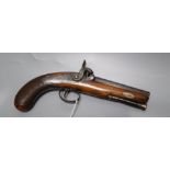 A 19th century percussion cap pistol, walnut stock
