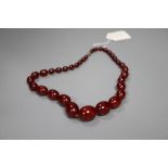 A single strand graduated simulated cherry amber bead necklace, 52cm, gross 63 grams.