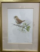 Ron David Digby (b.1936), gouache, Wren on a prunus branch, signed, 22.5 x 17cm