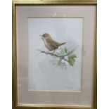 Ron David Digby (b.1936), gouache, Wren on a prunus branch, signed, 22.5 x 17cm