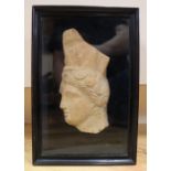A Roman terracotta fragment of a women's head, 17cm, in ebonised frame