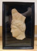 A Roman terracotta fragment of a women's head, 17cm, in ebonised frame