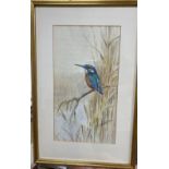 Roland Green (1896-1972), watercolour, Kingfisher on a riverbank, signed, 32 x 18cm