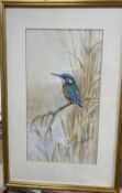 Roland Green (1896-1972), watercolour, Kingfisher on a riverbank, signed, 32 x 18cm