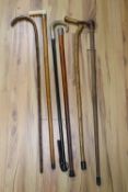 Six walking sticks, to include a Victorian ivory handled malacca cane, a Pitcairn Islands cocus wood