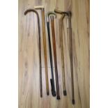 Six walking sticks, to include a Victorian ivory handled malacca cane, a Pitcairn Islands cocus wood