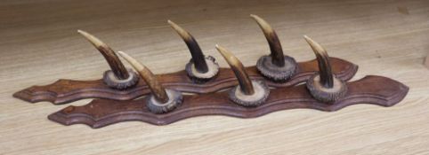 A stag horn gun rack, 60cm high