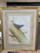 Ron David Digby (b.1936), watercolour and gouache, Tree Creeper, signed, 30 x 23cm