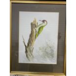 Ron David Digby (b.1936), gouache on paper, Green Woodpecker, signed, 33 x 24cm