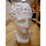 A white plaster portrait bust of a Roman gentleman, height 43cm