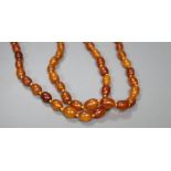 A double strand oval amber bead necklace, 66cm, gross 58 grams.