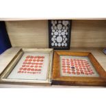 A framed group of intaglios and two framed groups of seals