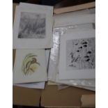 Timothy Greenwood (1946-2010), a folio of assorted etchings, all wildlife studies, together with a