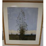 John Ridgewell (b.1937), acrylic on paper, Study of grasses, signed, Abbott & Holder label verso, 55