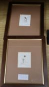Verdyer (?), two small etchings of female nudes, signed, 26/100, overall 8 x 6.5cm