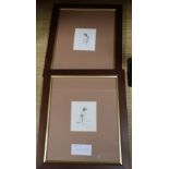 Verdyer (?), two small etchings of female nudes, signed, 26/100, overall 8 x 6.5cm