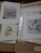 Timothy Greenwood (1946-2010), a folio of assorted etchings, all wildlife studies, together with a