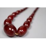 A single strand graduated simulated oval amber bead necklace, 52cm, gross 52 grams.