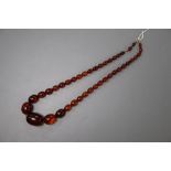 A single strand graduated oval amber bead necklace, 55cm, gross 45 grams.