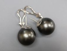 A large modern pair of white metal mounted grey freshwater pearl? earrings, diameter 15.6mm, gross