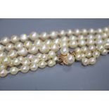 A triple strand cultured pearl necklace, with cultured pearl set yellow metal clasp, 51cm.