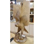 A contemporary carved wood model of a Golden Eagle
