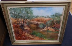 Denise Shaw (Australian, 1936-), oil on canvas, Waterhole, Mount Margaret, Queensland, signed and