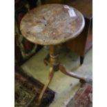 A 19th century elm candle stand, with burr wood top on tripod base, 37cm diameter, 72cm high