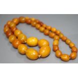 A single strand graduated oval amber bead necklace, 75cm, gross 64 grams.